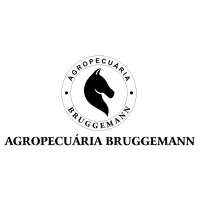 J. P. BEPPLER AGROPECUÁRIA E MATERIAIS DE CONSTRUÇÃO